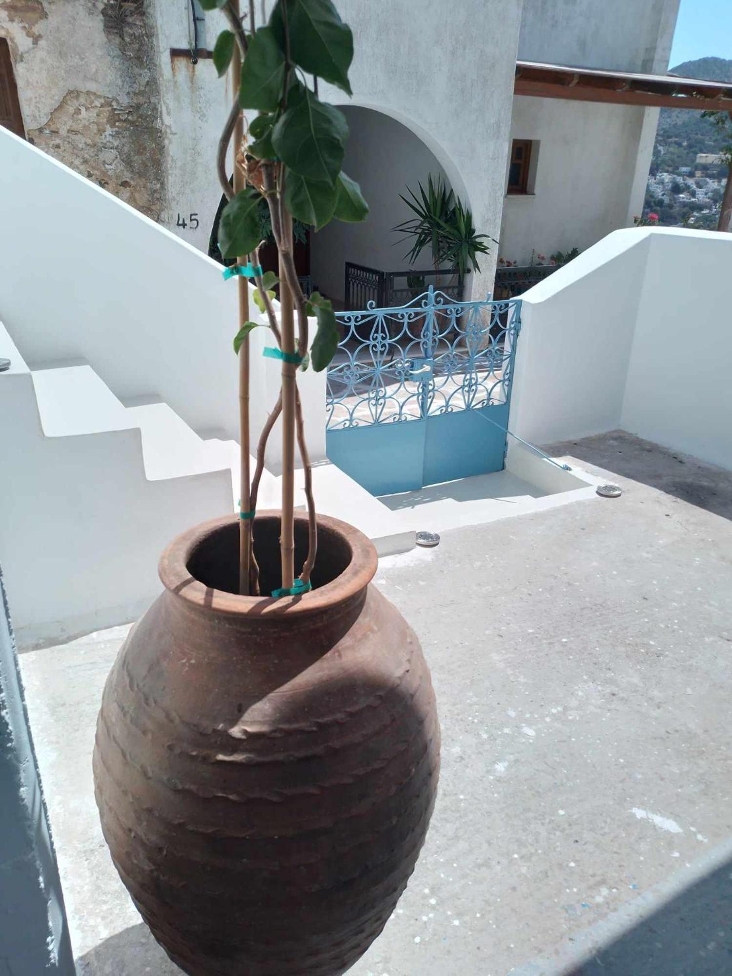 Blue House Βίλα Κόρωνος Εξωτερικό φωτογραφία